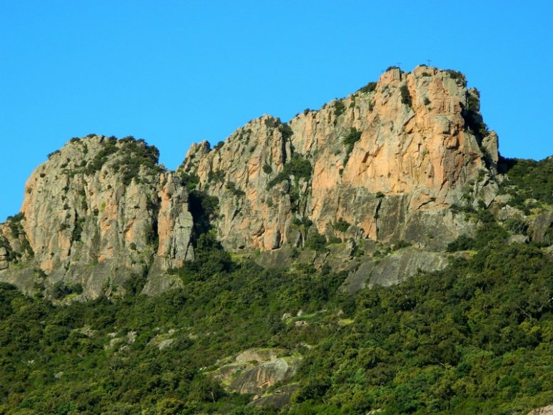 Fichier:Rockbrune.jpg