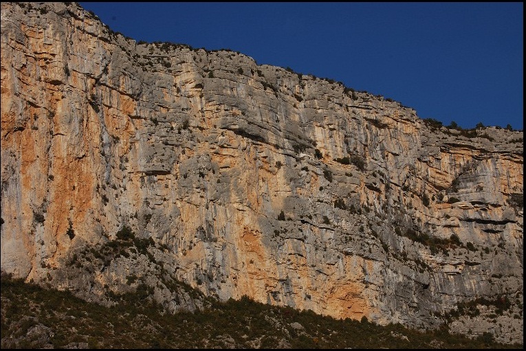 Fichier:Charogne.jpg