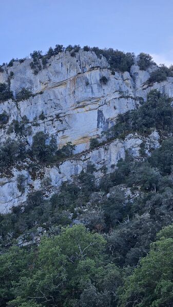 Fichier:Finessefalaise.jpeg