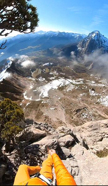 Fichier:Un Pin cest tout3.jpg