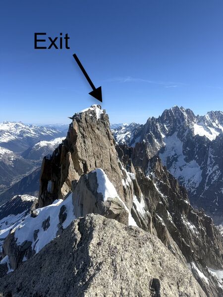 Fichier:Dent du crocodile.jpg