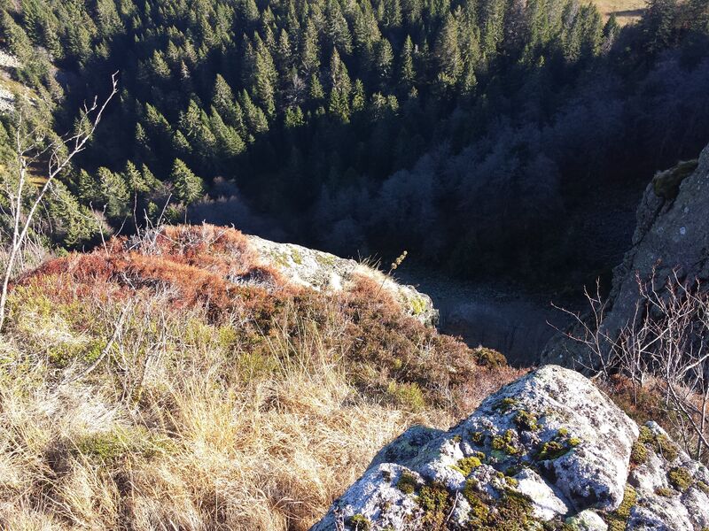 Fichier:Exit The Piggysher.jpg