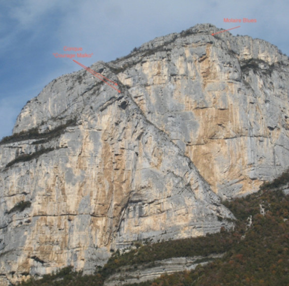 Fichier:Molaireblues.jpg