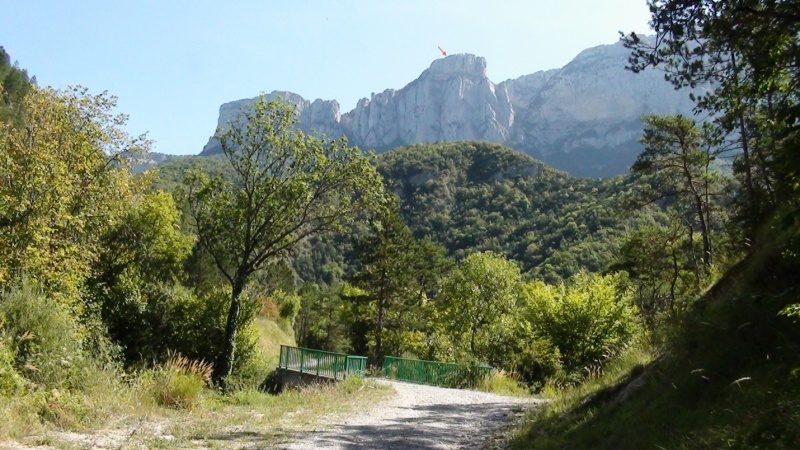 Fichier:Glandasse.jpg