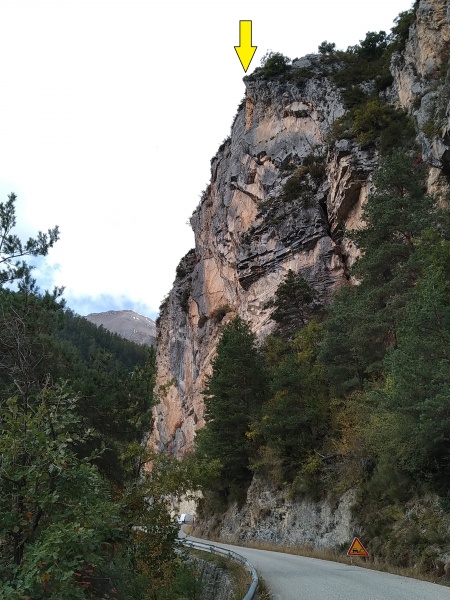 Fichier:Pauerlaine.jpg