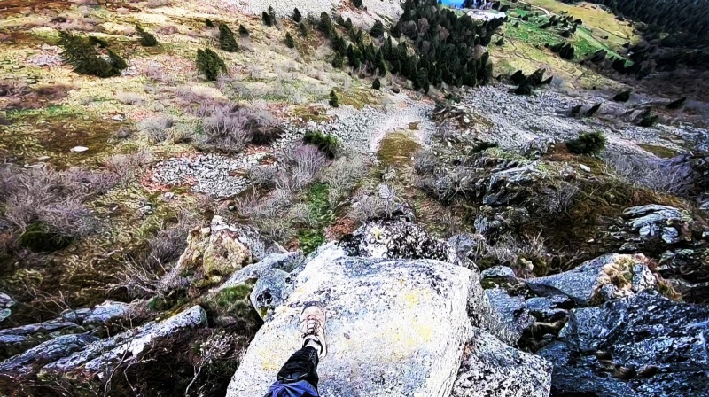 Fichier:Exit faing de cochon.jpg