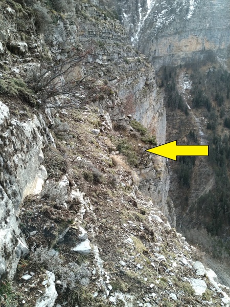 Fichier:Saintpierreexit2.jpg