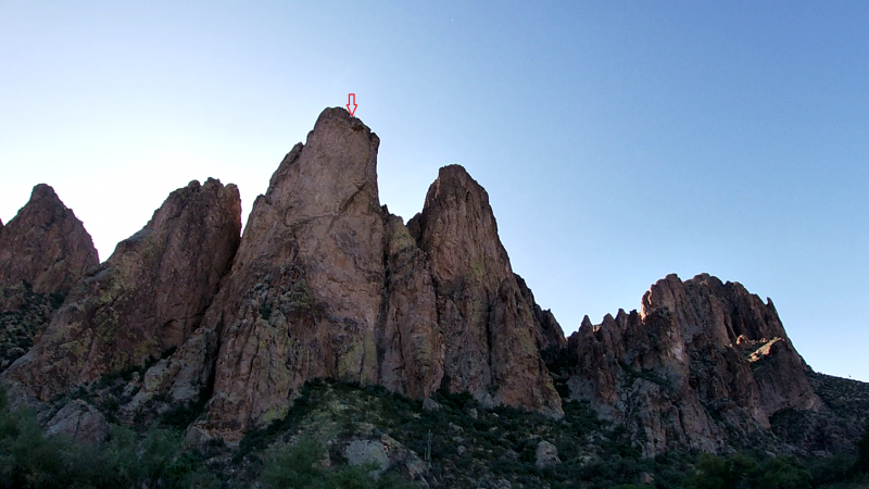 Fichier:Saguaro.png
