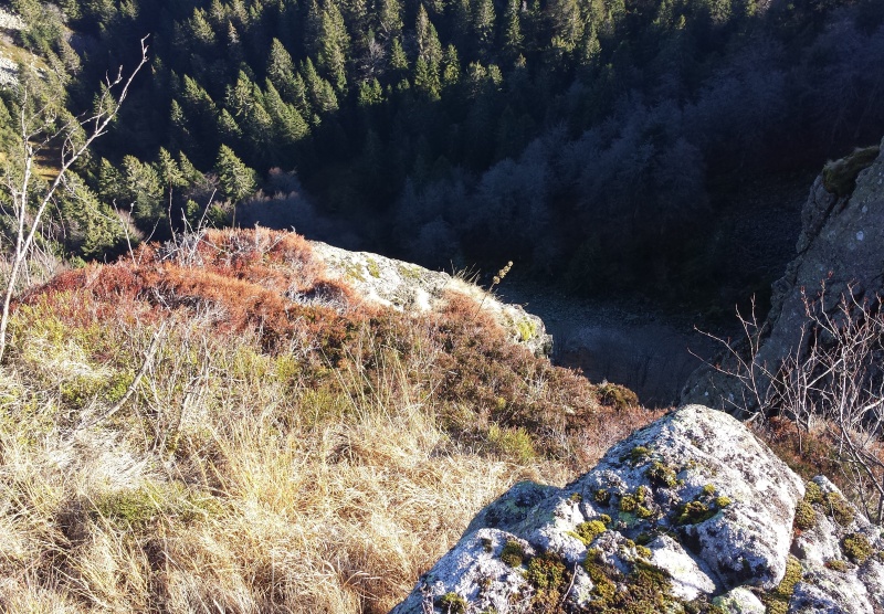 Fichier:Exit The Piggysher vue exterieur.jpg
