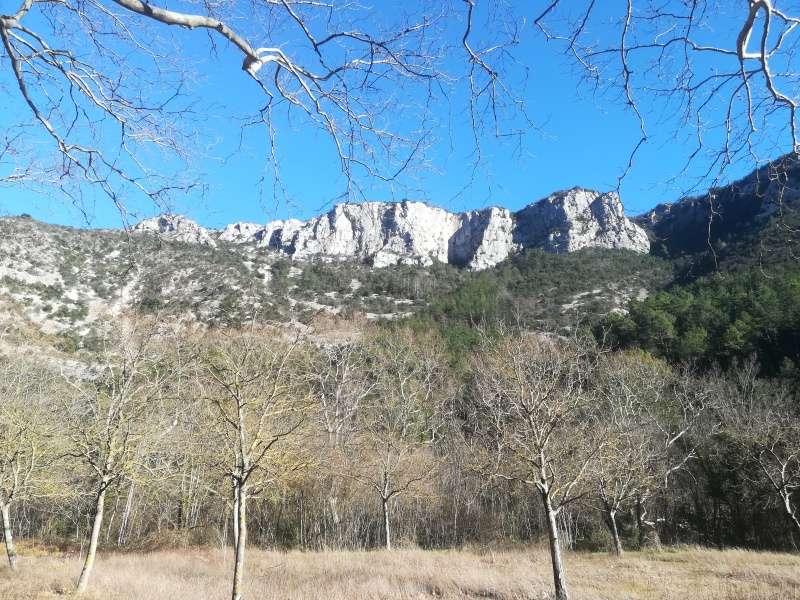 Fichier:Roc de l'Aigle Hérault.jpg