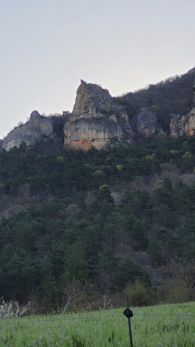 Becquetfalaise.jpeg