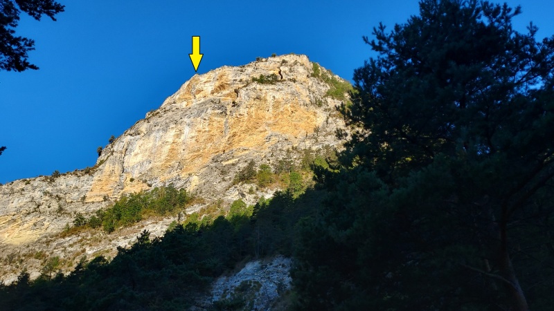 Fichier:Ninja.jpg