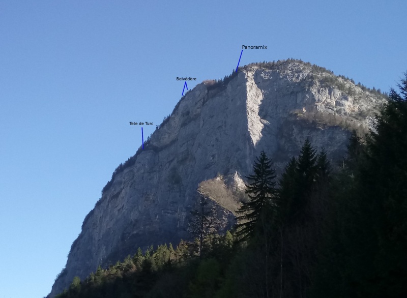 Fichier:Tete-louis-philippe.jpg