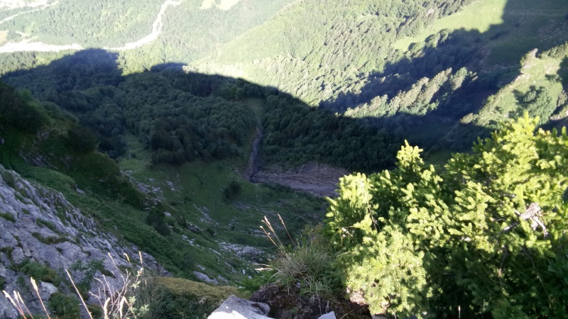 Fichier:Jardiland-ligne.jpg
