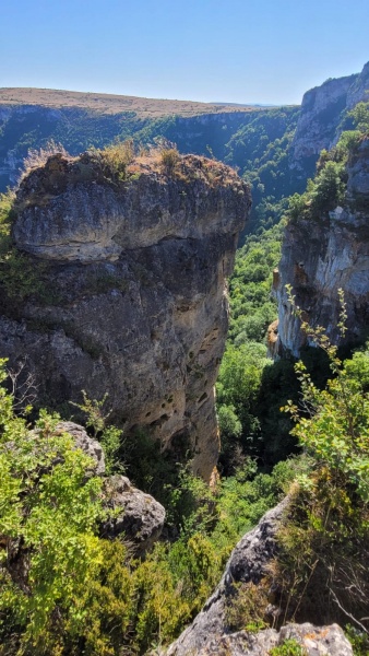 Fichier:Petitfuretfalaise.jpeg
