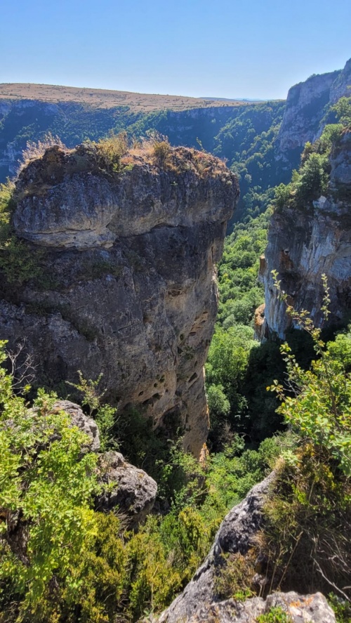 Petitfuretfalaise.jpeg