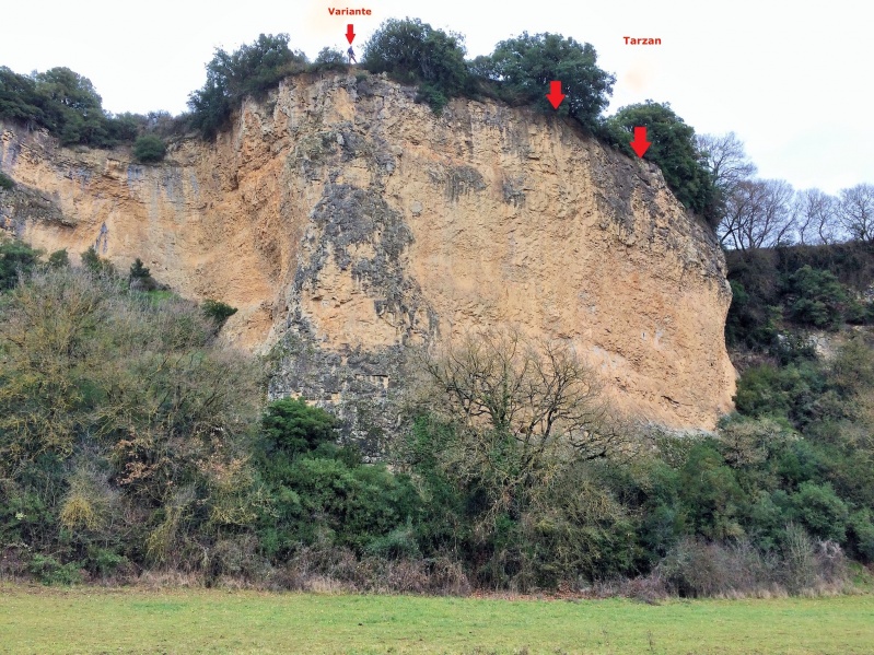 Fichier:Tarzan-falaise.jpg