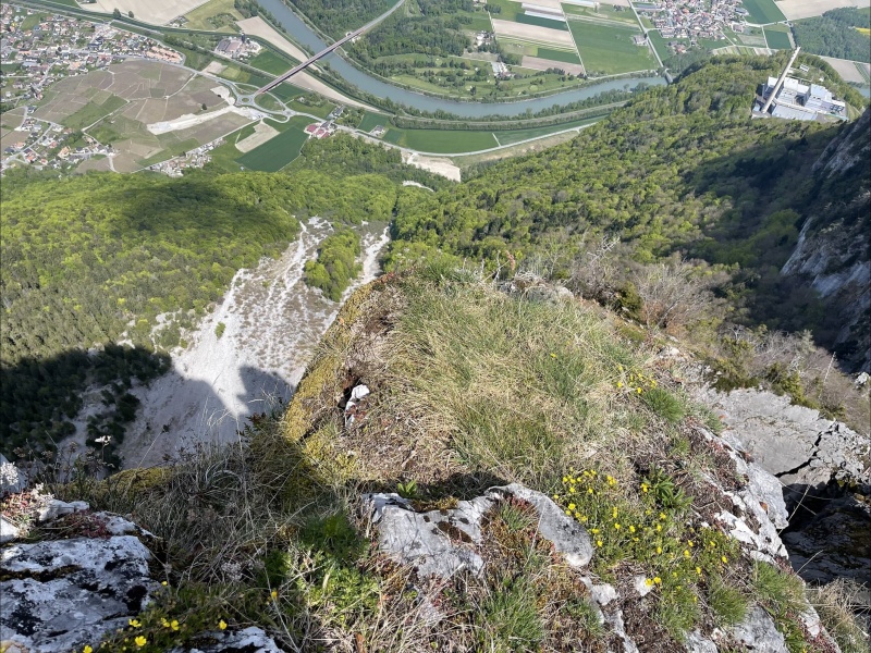 Fichier:Planchette1.jpg