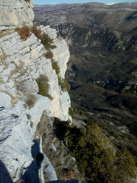 Fichier:Sucidalchamois.png