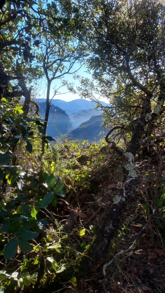 Fichier:Montsaintmichelexit.jpg
