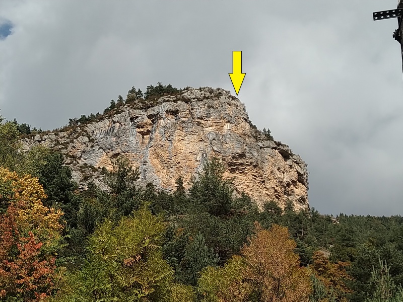 Fichier:Bambi.jpg
